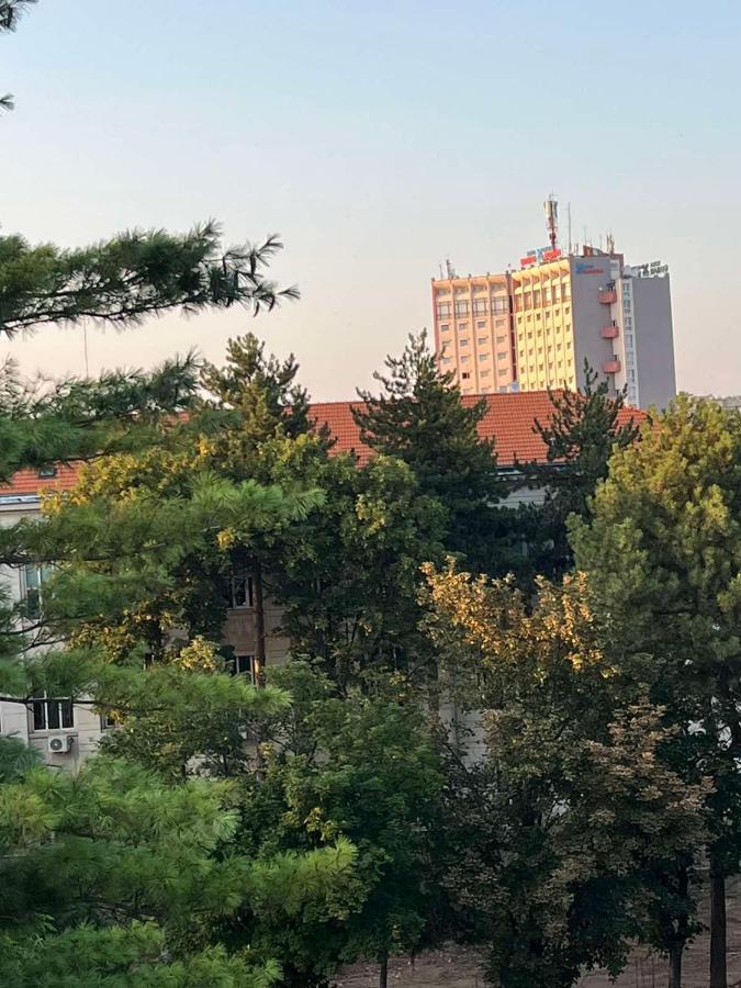 Floral Boutique Hotel 普列文 外观 照片